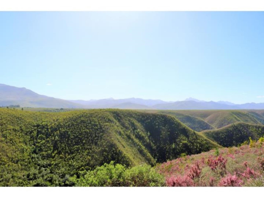 3 Bedroom Property for Sale in The Crags Western Cape